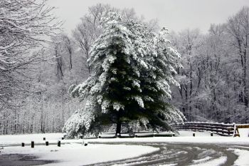 McCormicks Creek State Park in Winter