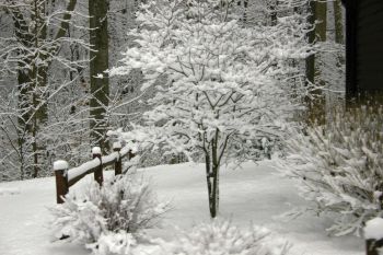 McCormicks Creek State Park in Winter